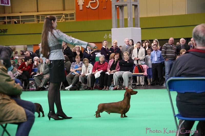 Crufts2011_2 1026.jpg